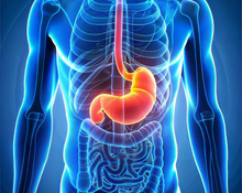 Nourishing Your Gut: The Key to Optimal Digestive Health